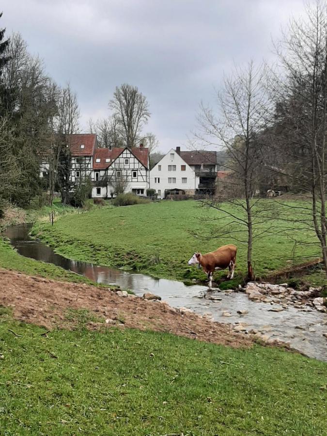 Haus An Der Werbe Apartment Waldeck  Luaran gambar