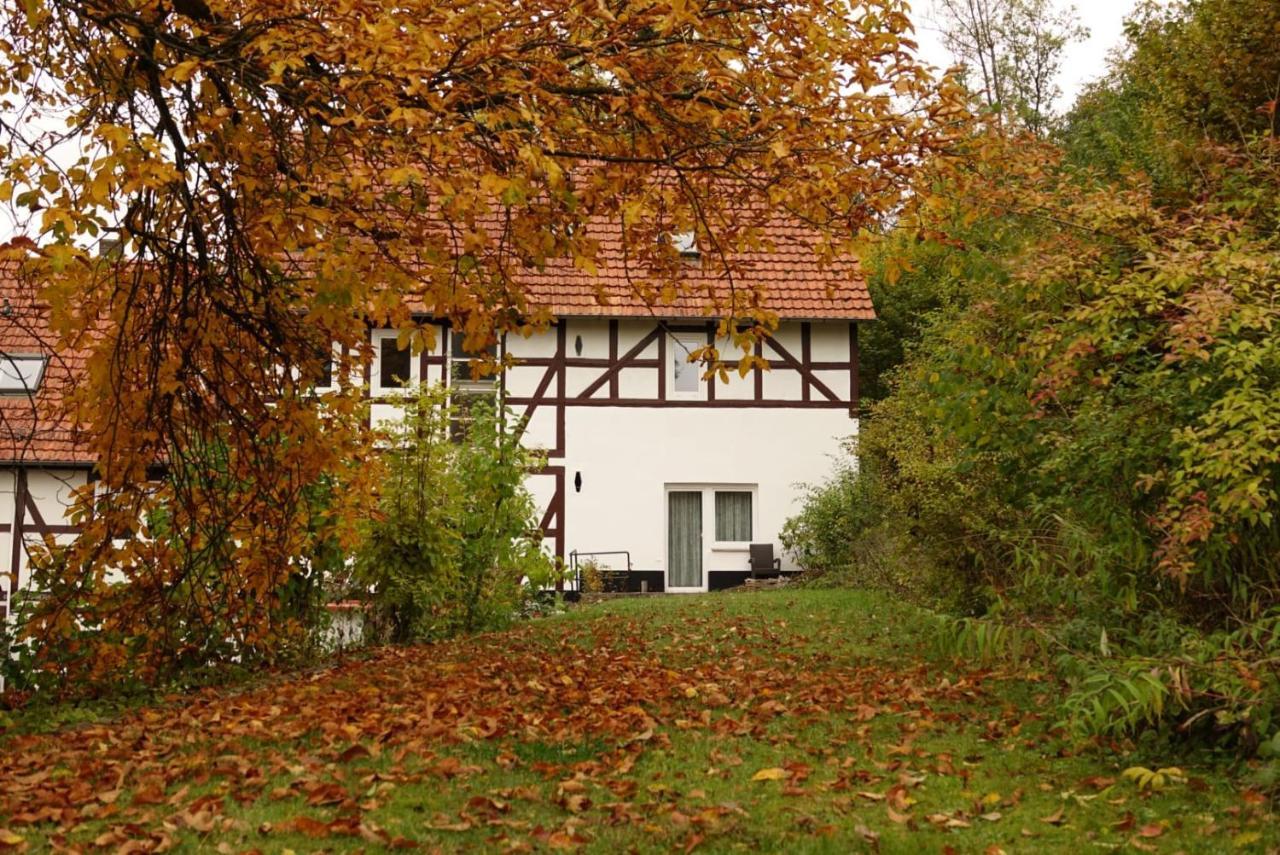 Haus An Der Werbe Apartment Waldeck  Luaran gambar