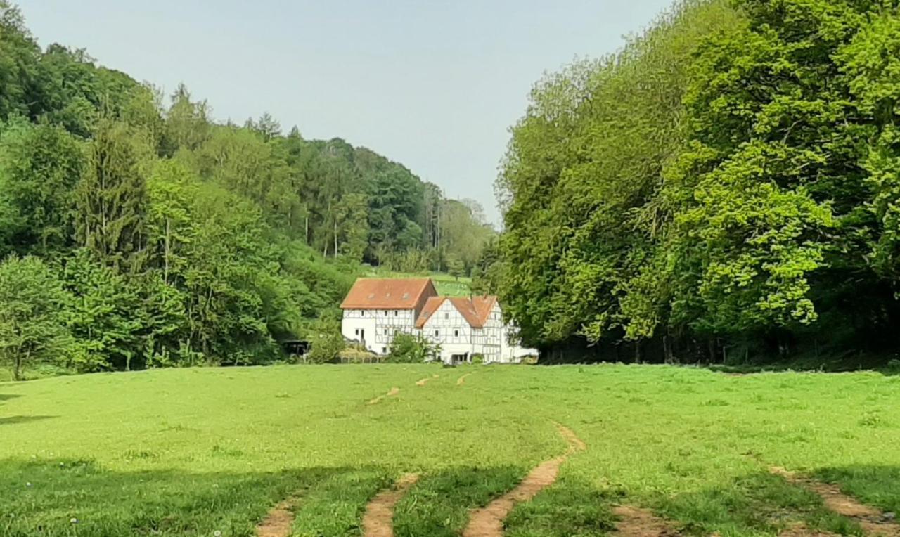 Haus An Der Werbe Apartment Waldeck  Luaran gambar