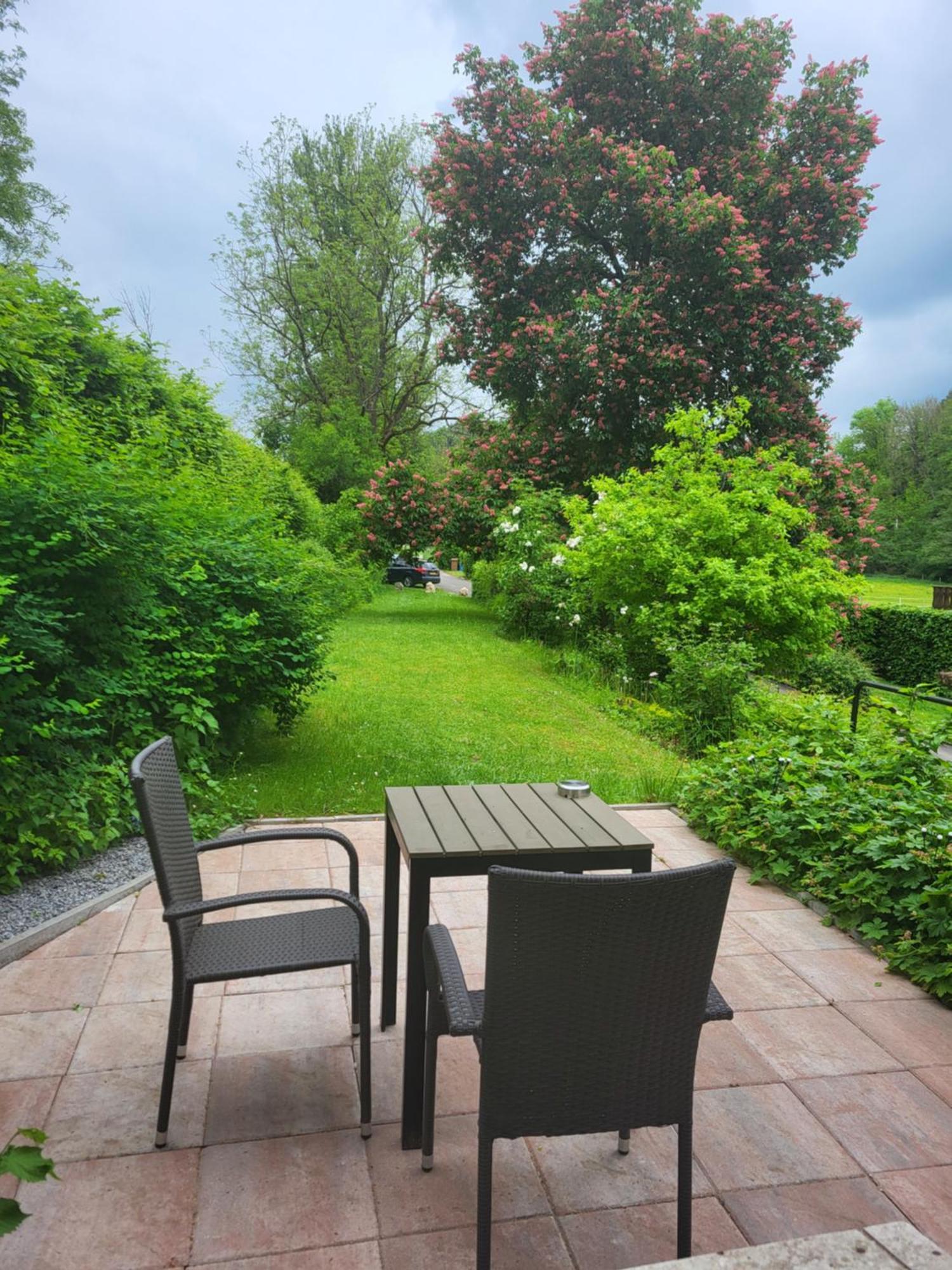 Haus An Der Werbe Apartment Waldeck  Luaran gambar